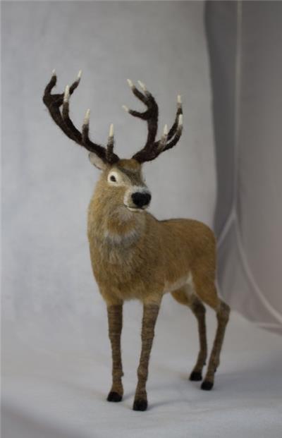 Red deer